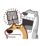 funny shiba inu 2（個別スタンプ：7）