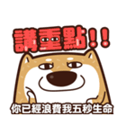 funny shiba inu 2（個別スタンプ：11）