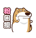 funny shiba inu 2（個別スタンプ：13）