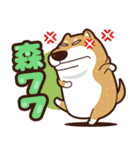 funny shiba inu 2（個別スタンプ：16）