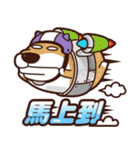 funny shiba inu 2（個別スタンプ：21）