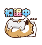 funny shiba inu 2（個別スタンプ：28）