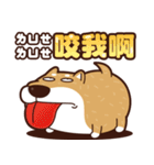 funny shiba inu 2（個別スタンプ：29）