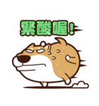 funny shiba inu 2（個別スタンプ：32）