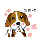 Beagle-LeLe（個別スタンプ：2）