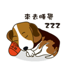 Beagle-LeLe（個別スタンプ：3）