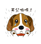 Beagle-LeLe（個別スタンプ：4）