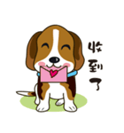 Beagle-LeLe（個別スタンプ：6）