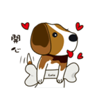 Beagle-LeLe（個別スタンプ：8）