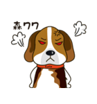 Beagle-LeLe（個別スタンプ：15）