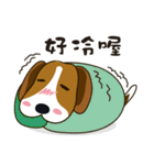 Beagle-LeLe（個別スタンプ：16）