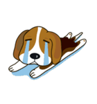 Beagle-LeLe（個別スタンプ：18）