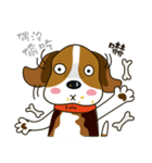 Beagle-LeLe（個別スタンプ：20）