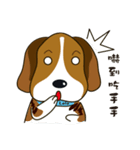 Beagle-LeLe（個別スタンプ：22）