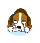 Beagle-LeLe（個別スタンプ：34）