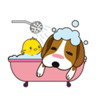 Beagle-LeLe（個別スタンプ：35）