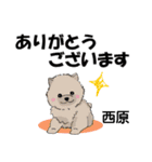 西原さんが使う可愛い子犬の名前スタンプ（個別スタンプ：2）