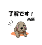 西原さんが使う可愛い子犬の名前スタンプ（個別スタンプ：4）