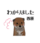 西原さんが使う可愛い子犬の名前スタンプ（個別スタンプ：5）
