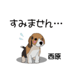 西原さんが使う可愛い子犬の名前スタンプ（個別スタンプ：10）