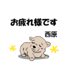西原さんが使う可愛い子犬の名前スタンプ（個別スタンプ：14）