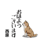 西原さんが使う可愛い子犬の名前スタンプ（個別スタンプ：17）