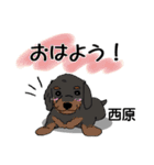 西原さんが使う可愛い子犬の名前スタンプ（個別スタンプ：18）