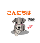 西原さんが使う可愛い子犬の名前スタンプ（個別スタンプ：19）