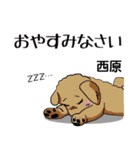 西原さんが使う可愛い子犬の名前スタンプ（個別スタンプ：21）