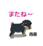 西原さんが使う可愛い子犬の名前スタンプ（個別スタンプ：23）