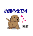 西原さんが使う可愛い子犬の名前スタンプ（個別スタンプ：24）