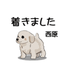 西原さんが使う可愛い子犬の名前スタンプ（個別スタンプ：27）