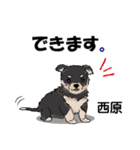 西原さんが使う可愛い子犬の名前スタンプ（個別スタンプ：28）