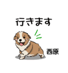 西原さんが使う可愛い子犬の名前スタンプ（個別スタンプ：30）