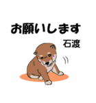 石渡さんが使う可愛い子犬の名前スタンプ（個別スタンプ：1）