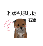 石渡さんが使う可愛い子犬の名前スタンプ（個別スタンプ：5）