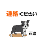 石渡さんが使う可愛い子犬の名前スタンプ（個別スタンプ：12）