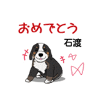 石渡さんが使う可愛い子犬の名前スタンプ（個別スタンプ：16）