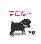 石渡さんが使う可愛い子犬の名前スタンプ（個別スタンプ：23）