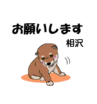 相沢さんが使う可愛い子犬の名前スタンプ（個別スタンプ：1）