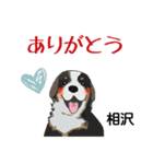 相沢さんが使う可愛い子犬の名前スタンプ（個別スタンプ：3）