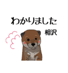 相沢さんが使う可愛い子犬の名前スタンプ（個別スタンプ：5）