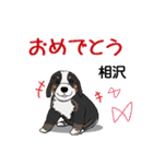 相沢さんが使う可愛い子犬の名前スタンプ（個別スタンプ：16）