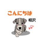 相沢さんが使う可愛い子犬の名前スタンプ（個別スタンプ：19）