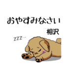 相沢さんが使う可愛い子犬の名前スタンプ（個別スタンプ：21）