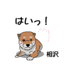 相沢さんが使う可愛い子犬の名前スタンプ（個別スタンプ：22）