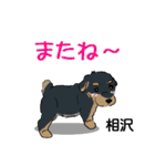 相沢さんが使う可愛い子犬の名前スタンプ（個別スタンプ：23）