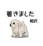 相沢さんが使う可愛い子犬の名前スタンプ（個別スタンプ：27）