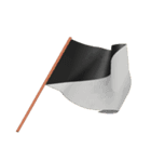 checkered flag（個別スタンプ：24）