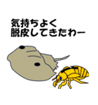 カブトガニのつぶやき（個別スタンプ：10）